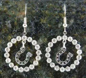 Finishing Touch Crystal Ring Horseshoe Fish Hook Earrings - Silver Finish Finishing Touch Crystal Ring Horseshoe Fish Hook Earrings - Silver Finish