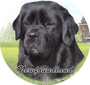 ES Pets Absorbent Stoneware Car Cup Holder Coaster, Newfoundland ES Pets Absorbent Stoneware Car Cup Holder Coaster, Newfoundland