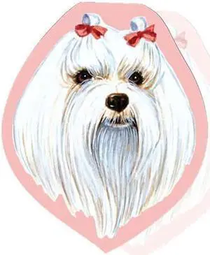 Maltese Sticky Notes Notebook Maltese Sticky Notes Notebook