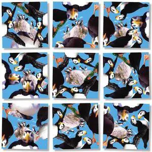B Dazzle Puffins Scramble Squares 9 Piece Puzzle B Dazzle Puffins Scramble Squares 9 Piece Puzzle