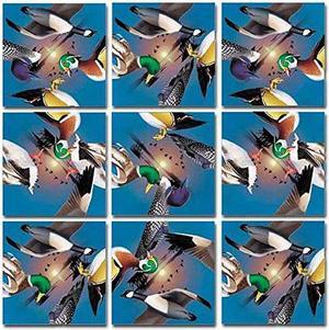 Scramble Squares: Water Birds