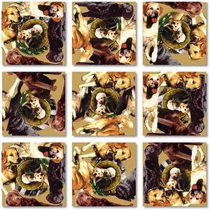 B Dazzle Retrievers Scramble Squares 9 Piece Puzzle B Dazzle Retrievers Scramble Squares 9 Piece Puzzle