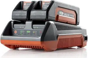 NEW HOOVER M-PWR 40V Dual Bay Charger, CH90002