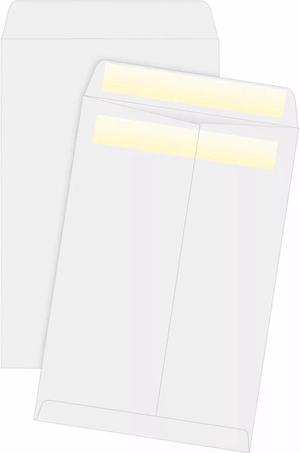 Business Source Press/Seal Catalog Envelopes 28lb 6"x9" 100/BX WE Wove 04647