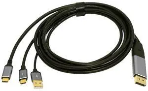 Chenyang Reversed Displayport Source to Type C USB-C Touch Screen Displays Male 4K HDTV Cable for Laptop Monitor 2.0m