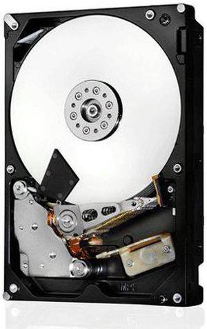 HGST Ultrastar 7K6000 HUS726020AL4210 2 TB 3.5" Internal Hard Drive