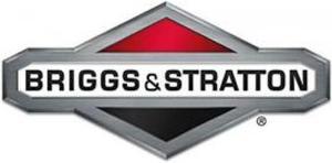 Briggs & Stratton 841852 Air Cleaner Gasket