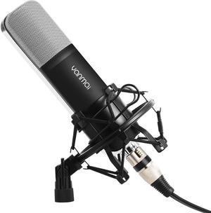 Professional Condenser Microphone WERLEO Music Studio MIC Podcast Recording Microphone Kit With Stand Shock Mount for PC Laptop Computer Broadcasting YouTube Vlogging Skype Chatting Gaming