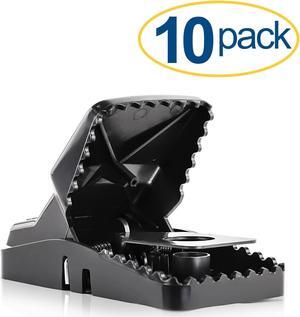 Large Powerful Rat Traps (10 Pack) - Kills Instantly with Powerful Steel Spring - Setup in Seconds - Wash & Reuse Over & Over - Hands Free Disposal - Rat Control Without Harmful Poisons or Chemicals