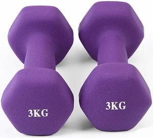2pc Matte Dumbbells Stands Dumbbells Holder Weightlifting Set Home Fitness Equipment Halteres Rack Stand dumbbells