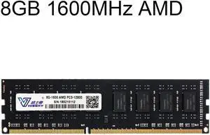Vaseky 8GB 1600MHz AMD PC3-12800 DDR3 PC Memory RAM Module for Desktop