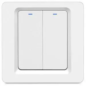 Tuya ZigBee Smart Single-fire Zero-fire Sharing Switch Phone Control Voice Panel EU Plug, Spec: 2 Buttons 2 Buttons