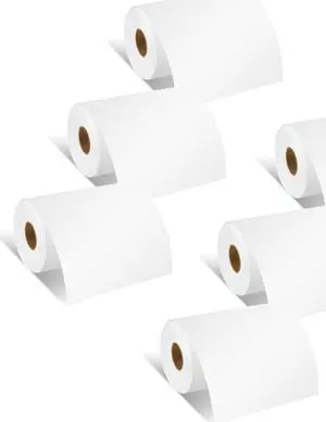 GREENCYCLE 6 Roll Replacement for Brother RD-M01U5 RDM01U5 Continuous Labels Receipt Paper Rolls Multipurpose Labels 4" x 96' (102mm*29.3m) White for RJ4030 RJ4030-K RJ4030M RJ4030M-K RJ4040
