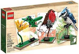 LEGO Ideas 21301 Birds Model Kit(Discontinued by manufacturer)