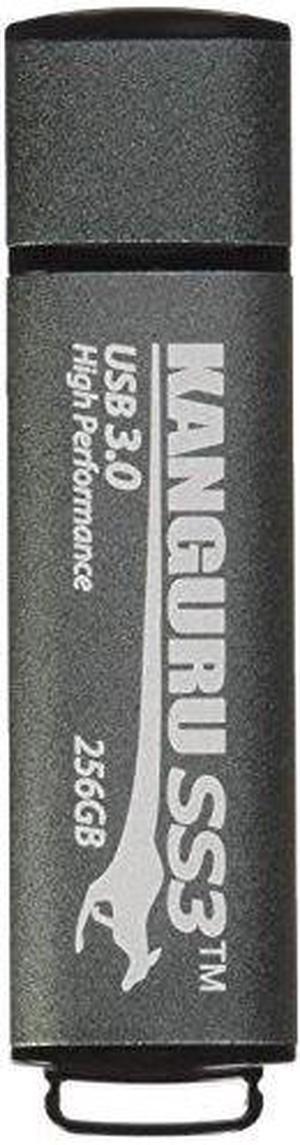 Patriot Memory Supersonic Rage Lite USB 3.2 Gen 1 Flash Drives 256GB PEF256GRLB32U