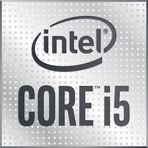 Intel Core i5-10500 - Core i5 10th Gen Comet Lake 6-Core 3.1 GHz LGA 1200 65W Intel UHD Graphics 630 Desktop Processor - BX8070110500