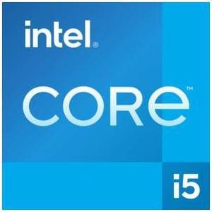 Acer Extensa 15 EX21555  Intel Core i7  1255U  up to 47 GHz  Win 11 Pro  Intel Iris Xe Graphics  16 GB RAM  512