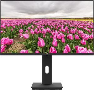 23.8IN HT ADJUST MONITOR HDMI