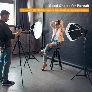 LINCO Lincostore Softbox Lighting Kit Professional Continuous Photo Studio Light Equipment Adjustable Light-Emitting Area Portrait Shoot AM242