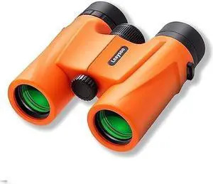 Leaysoo 10X32 Compact Binoculars for Adults and Kids,High Powered Small Binoculars, BAK-4 FMC Clear Low Light Vison Waterproof Binoculars for Bird Watching, Concerts, Curise Ship, Hunting