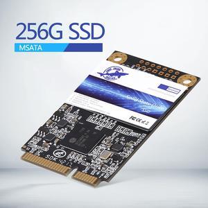 Dogfish mSATA SSD 256GB SATA III 3D NAND TLC 6 Gb/s (30x50.9mm) Internal Solid State Drive Compatible with Desktop PC Laptop (mSATA 256GB)