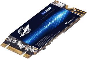 M.2 2242 SSD 120GB Dogfish 3D NAND TLC SATA III 6 Gb/s, Internal Solid State Drive Compatible with Desktop PC Laptop (M.2 2242 120GB)