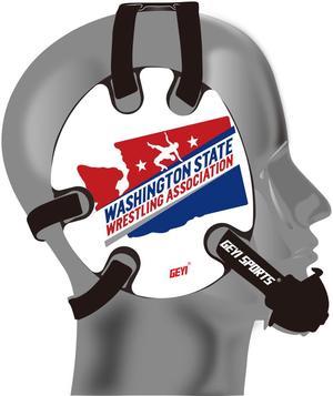 Geyi USA Bald Eagle Wrestling Headgear Decals