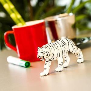 Safari Wild Safari Wildlife White Bengal Tiger Adult