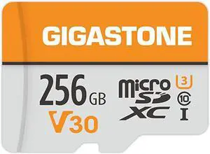 Gigastone 256GB Micro SD Card, 4K Video Pro, MicroSDXC Memory Card for Nintendo-Switch, Wyze, GoPro, Dash Cam, Security Camera, 4K Video Recording, UHS-I A1 U3 V30 C10, up to 100MB/s, with Adapter