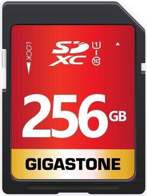 GIGASTONE 256GB SD Card UHS-I U1 Class 10 SDXC Memory Card High Speed Full HD Video Canon Nikon Sony Pentax Kodak Olympus Panasonic Digital Camera, with 1 Mini case