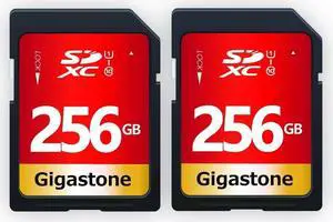 GIGASTONE 256GB SD Card UHS-I U1 Class 10 SDXC Memory Card High Speed Full HD Video Canon Nikon Sony Pentax Kodak Olympus Panasonic Digital Camera, with 2 Mini cases