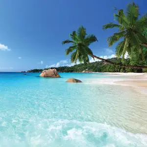 Beach 40" x 40"  Print On Canvas Painting Wall Art For Wall Décor  (Frameless)
