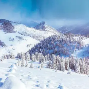 Snow view 40" x 40"  Print On Canvas Painting Wall Art For Wall Décor  (Frameless)