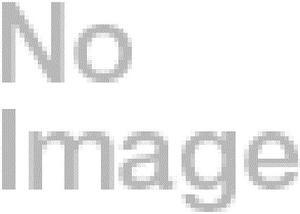 Wallplate Plastic Single-Gang 6-Port Keystone Ivory