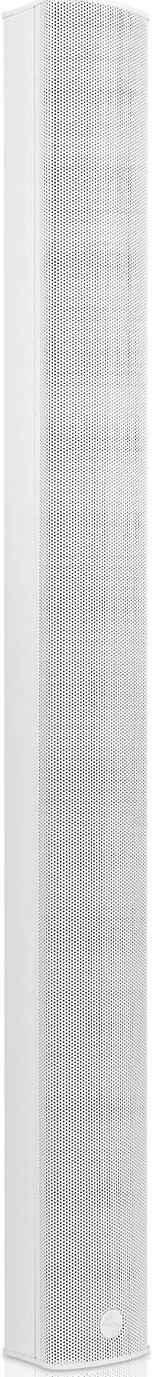 Sound Town Weather-Resistant Compact Aluminum Line Array Column Speaker with Wall Mount Bracket, 10 x 3 Woofers, 6 x 1.2 Dome Tweeters, White, for Church, Indoor & Outdoor Installation (CARPO-M106W)