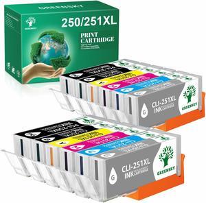 Replacement Cartridge  12pack Ink #250XL #251 2-SET Fits Canon MX722/MX922 MG6320 MG5420 Printer