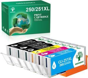 Replacement Cartridge Compatible for Canon PGI-250 XL CLI-251 XL Ink 2B+1PB+1C+1Y+1M PIXMA MG5400 MG7520 MX922
