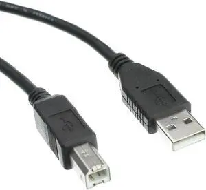 1 feet USB 2.0 Printer/Device Cable, Black, Type A Male/Type B Male Plug, A Male to B Male High Speed USB Cable, USB 2.0 to Type B Cable, Type B Printer Cable, CableWholesale 1 feet USB 2.0 Printer/Device Cable, Black, Type A Male/Type B Male Plug, A Male to B Male High Speed USB Cable, USB 2.0 to Type B Cable, Type B Printer Cable, CableWholesale