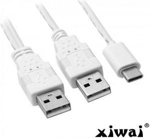 Xiwai USB Type C USB-C to Dual A Male Extra Power Data Y Cable for Cell Phone & Hard Disk
