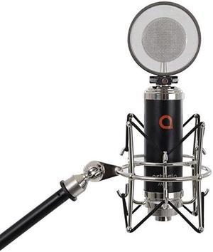 AMC20 Studio LargeDiaphragm Condenser Microphone wShock Mount + Pop Filter amp 8 XLR Cable
