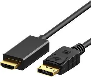 DP to HDMI Cable 6FT Werleo Gold Plated Displayport to HDMI Cable 1080p Full HD for PCs to HDTV Monitor Projector with HDMI Port