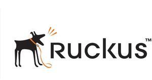Ruckus P01-Q910-US02
