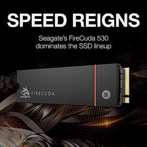 Seagate FireCuda 530 1TB Internal Solid State Drive - M.2 PCIe Gen4 ×4 NVMe 1.4, PS5 Internal SSD, speeds up to 7300MB/s, 3D TLC NAND, 1275 TBW, 1.8M MTBF, Heatsink, Rescue Services ( (ZP1000GM3A023)