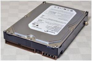 Seagate ST303204N1A1A-RK 320 GB Ultra ATA/100 Internal Hard Drive (ST303204N1A1A-RK)