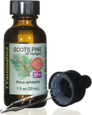 TVaromatics Scots Pine of Hungary 100% Pure Essential Oil w/ Child Resistant Dropper Cap - Pinus sylvestris   30 mL CRC