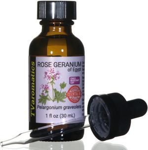 TVaromatics Rose Geranium of Egypt 100% Pure Essential Oil w/ Child Resistant Dropper Cap - Pelargonium graveolens 30 mL CRC