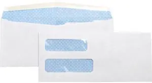 Business Source Double Window Envelope No. 10 4-1/8"x9-1/2" 500/BX White 36694