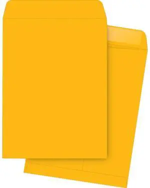 Business Source Catalog Envelopes 20Lb. 9"x12" 250/BX Kraft 42104