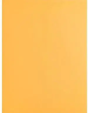 Business Source Catalog Envelopes Plain 9"x12" 250/BX Kraft 42100