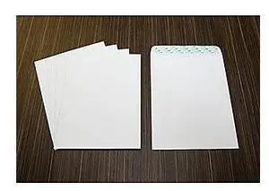 Business Source Catalog Envelopes Self Seal 28lb 9"x12" 100/BX WE Wove 65450